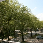 Ausblick vom Balkon